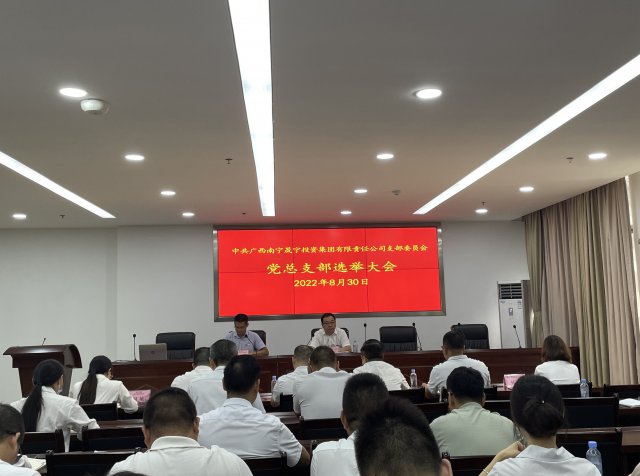 中共广西南宁永利集团3044投资集团有限责任公司总支部